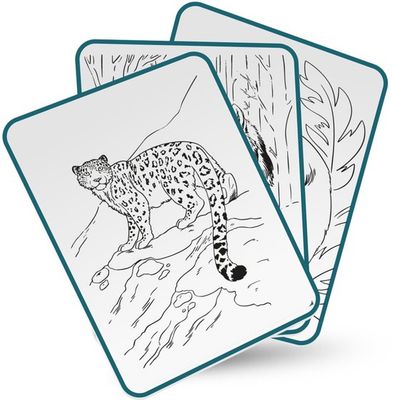 Kidywolf Kidydraw Pad tekenbord Dieren 8+