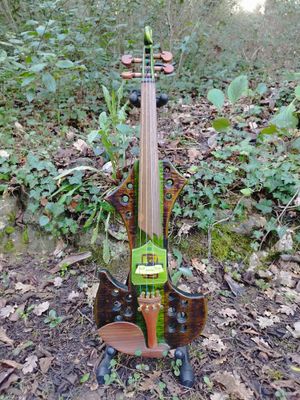 Sacrilegious Light Special Edition &quot;Green&quot; - Violon électrique 4 cordes passif