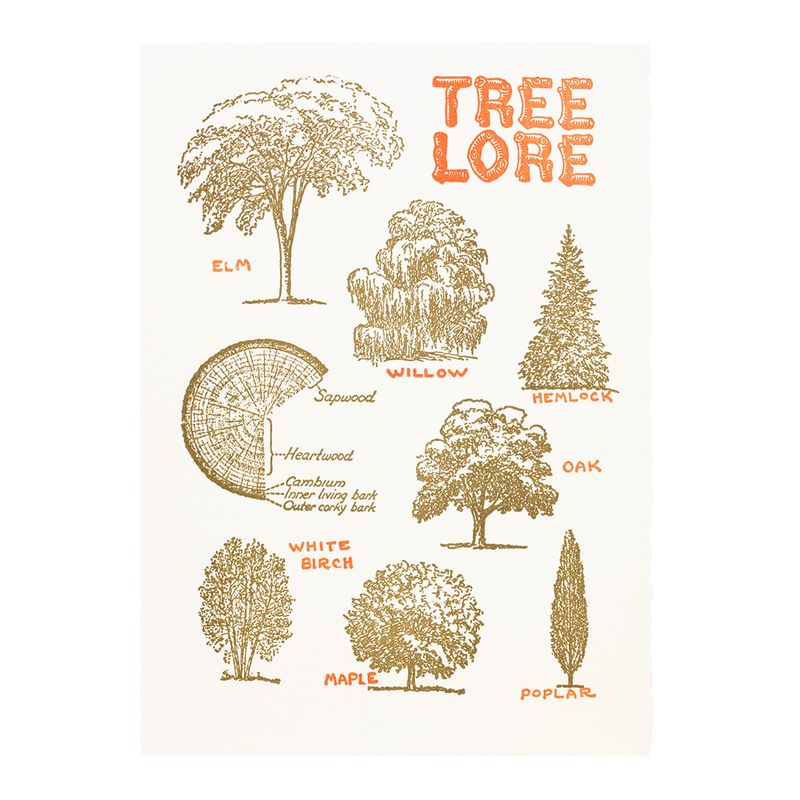 Tree Lore Blank Letterpress Card