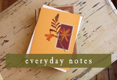 Boxed Everyday Notes