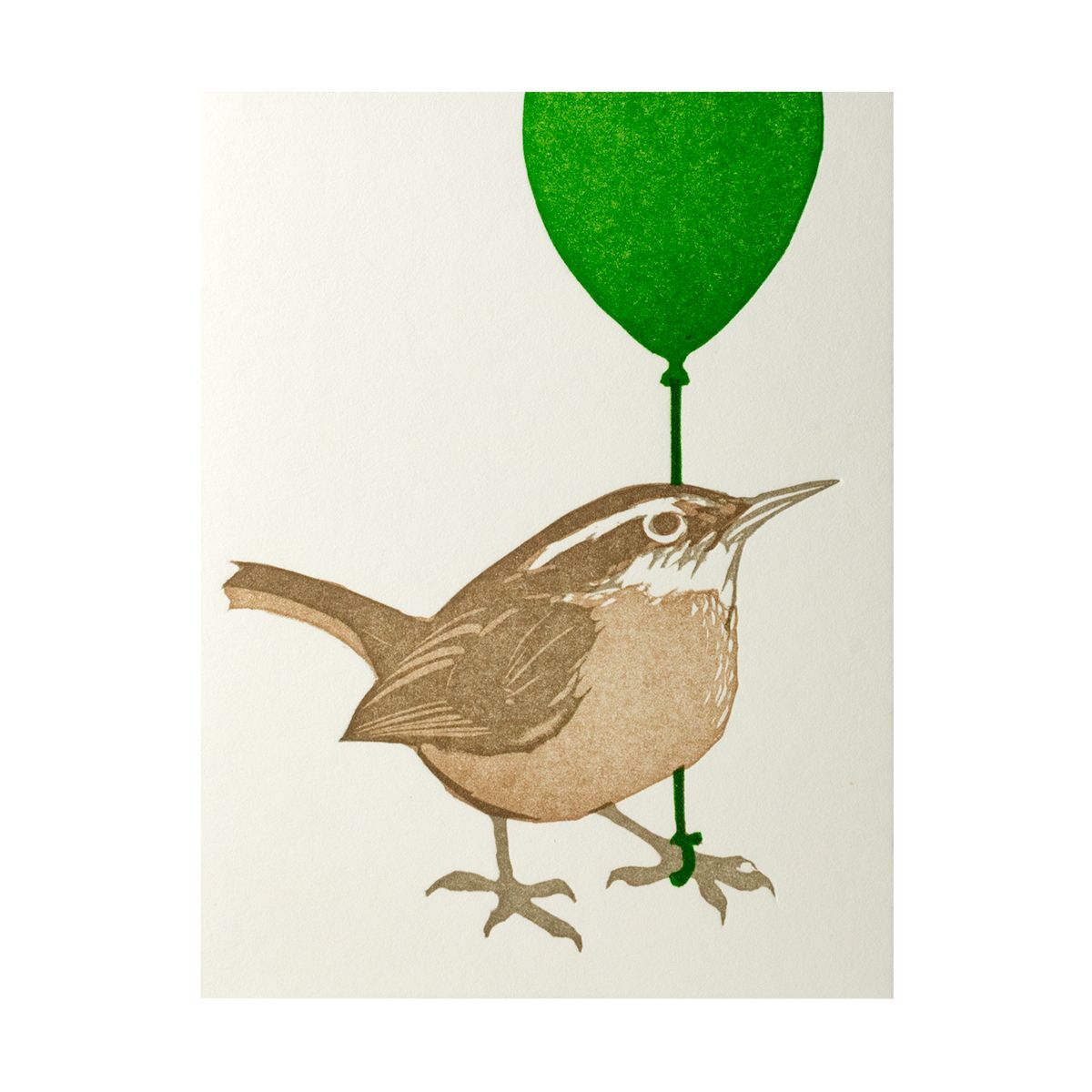 Green Balloon Wren