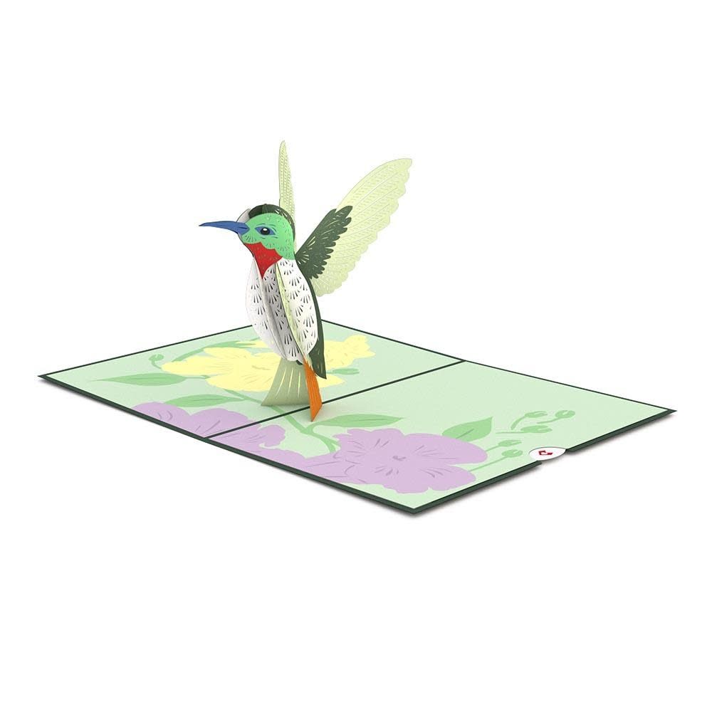 Hummingbird