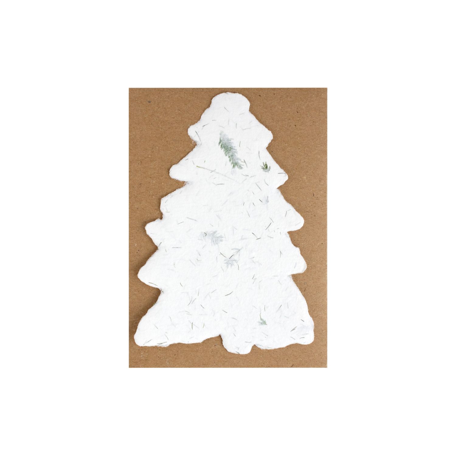 Handmade Paper Evergreen Fern