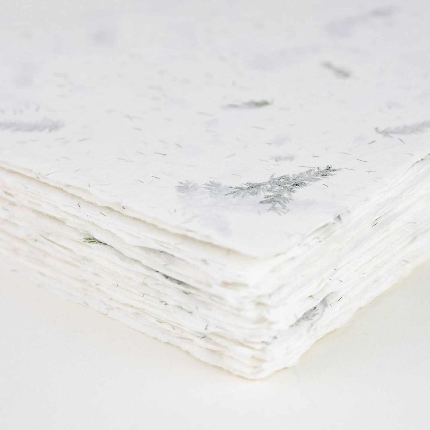 Fern Handmade Paper Sheet
