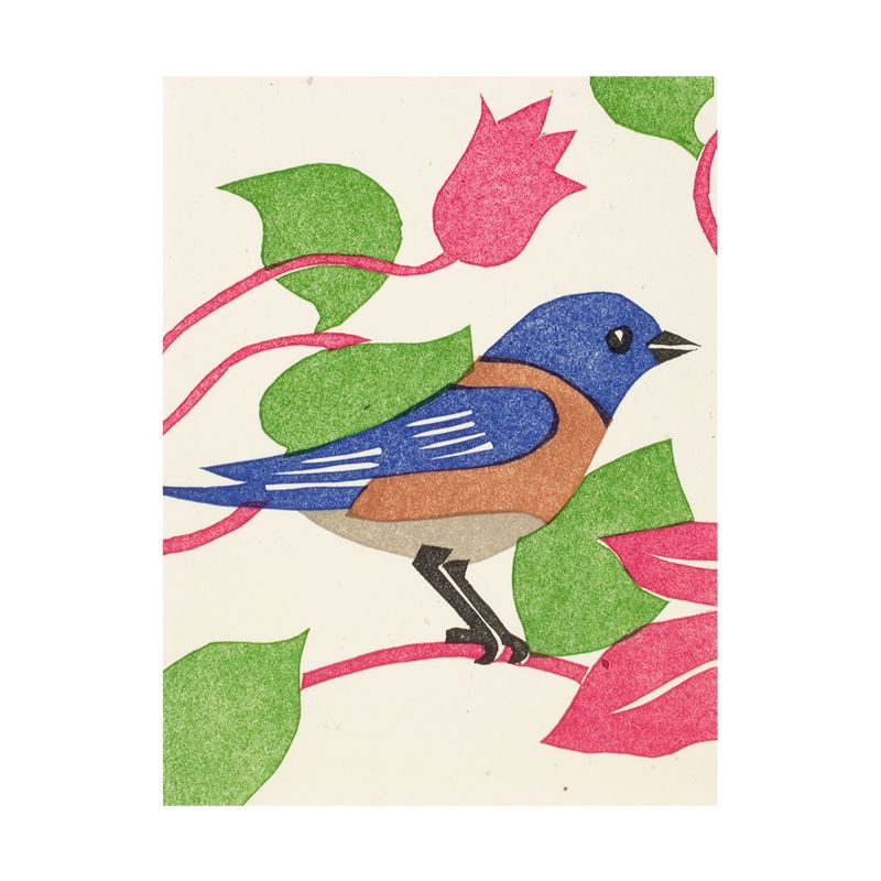Bluebird Letterpress Card