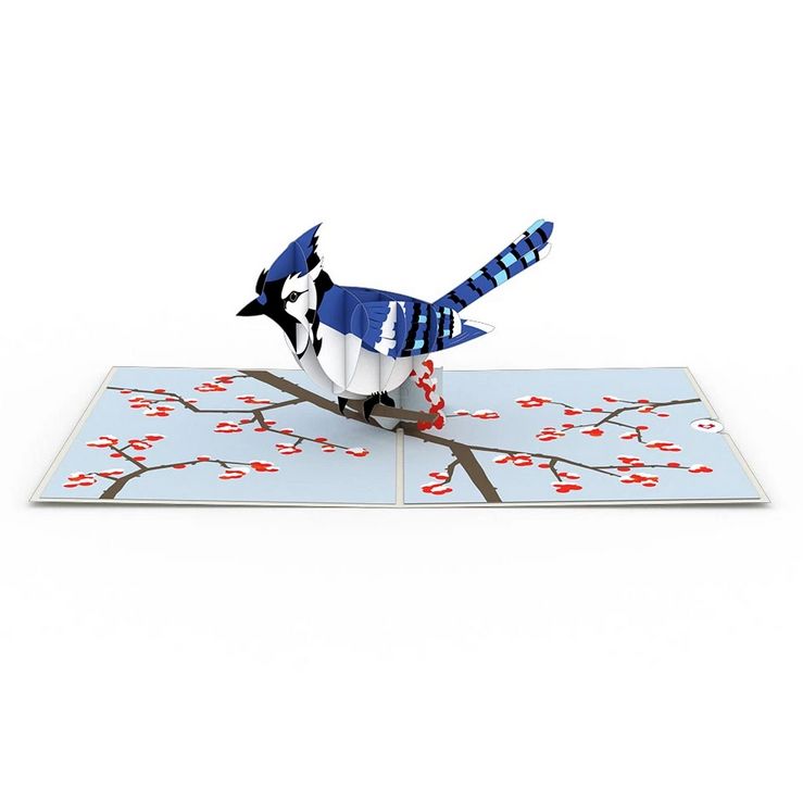 Blue Jay - Pop-Up Card