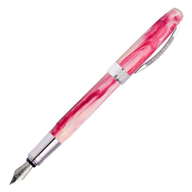 Visconti Van Gogh Souvenir de Mauves Fountain Pen Medium Nib