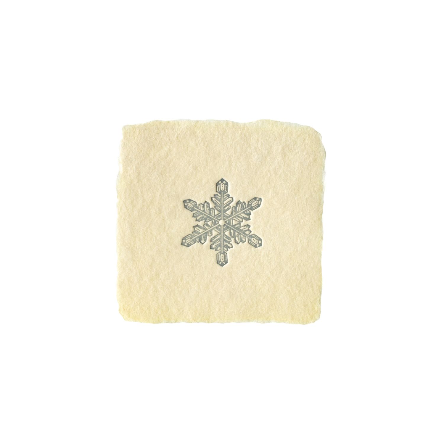 Snowflake Petite Charm Letterpress Enclosure
