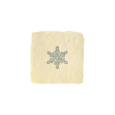 Snowflake Petite Charm Letterpress Enclosure