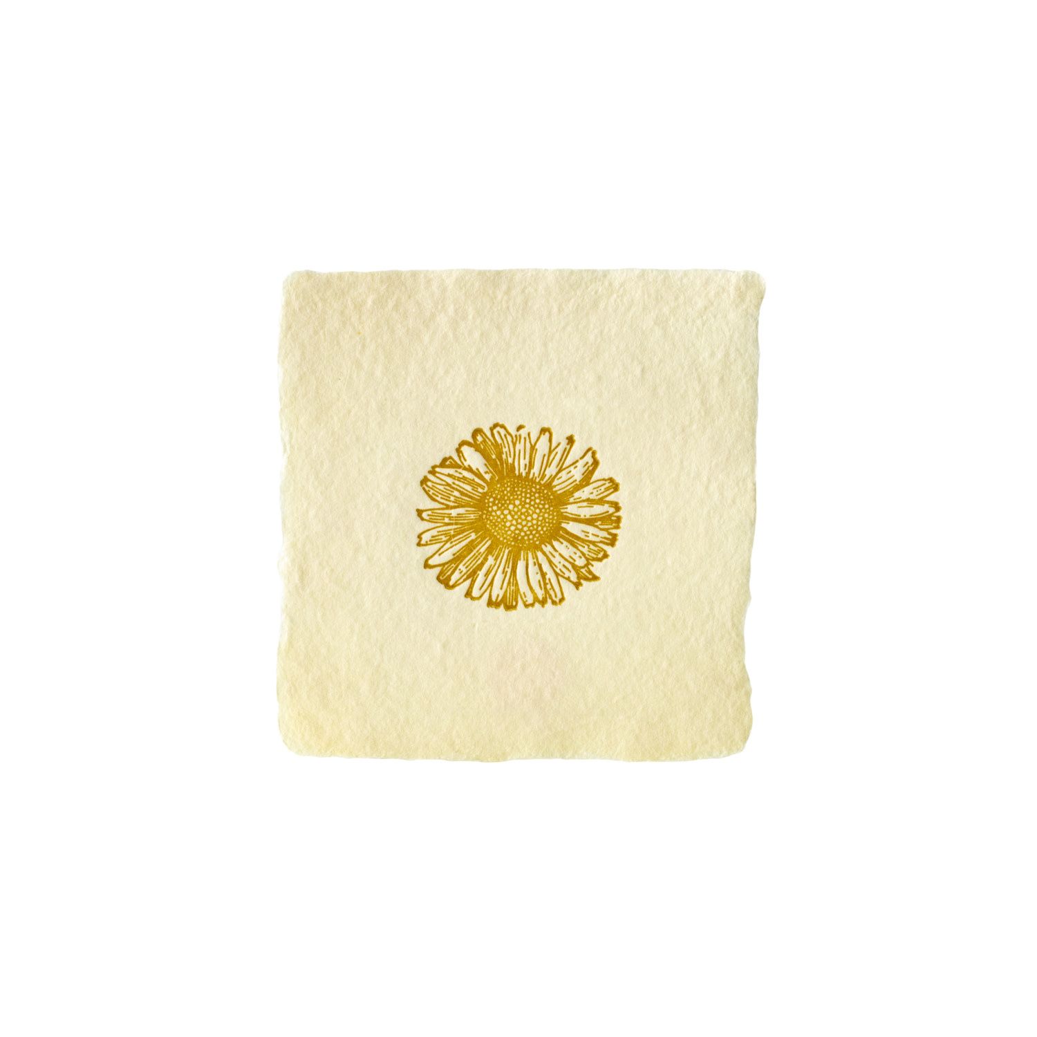 Daisy Petite Charm Letterpress Enclosure