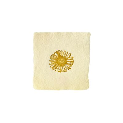 Daisy Petite Charm Letterpress Enclosure