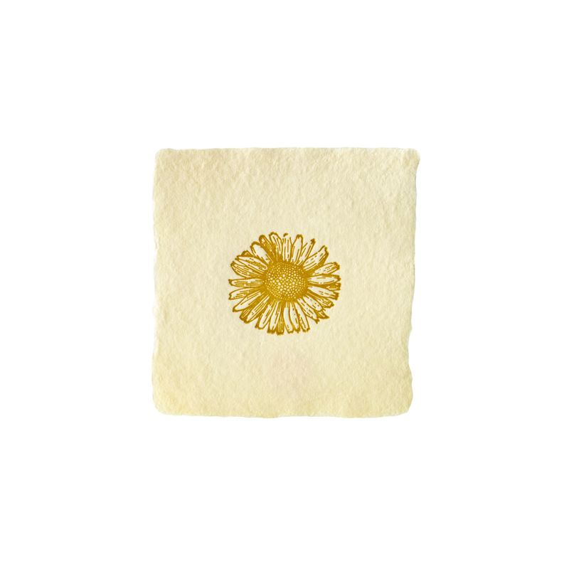 Daisy Petite Charm Letterpress Enclosure