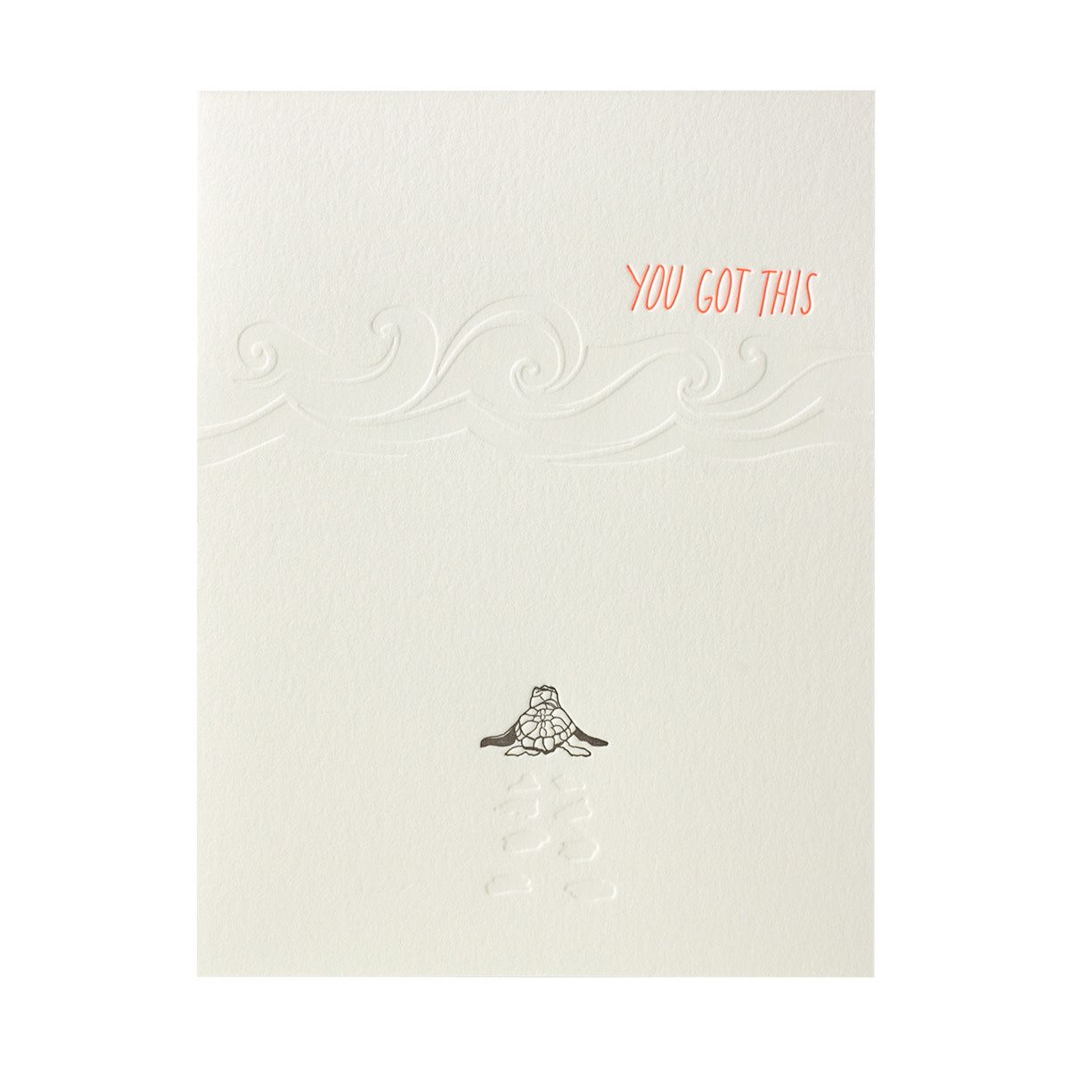 You Got This Turtle