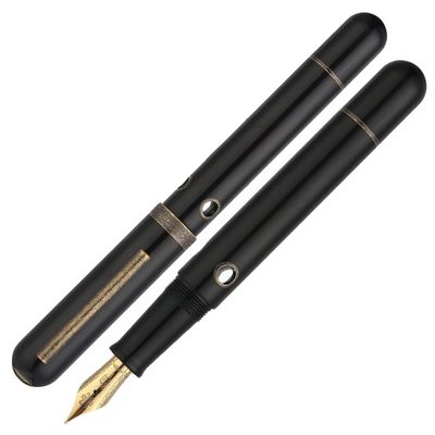 Nahvalur Nautilus Bronze Corydoras Fountain Pen