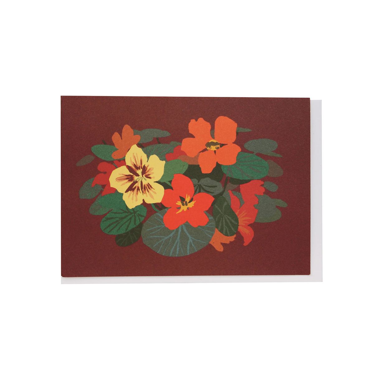 Nasturtiums Note Cards Box of 10
