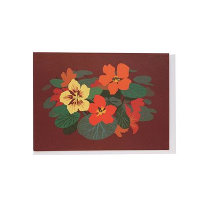 Nasturtiums Note Cards Box of 10