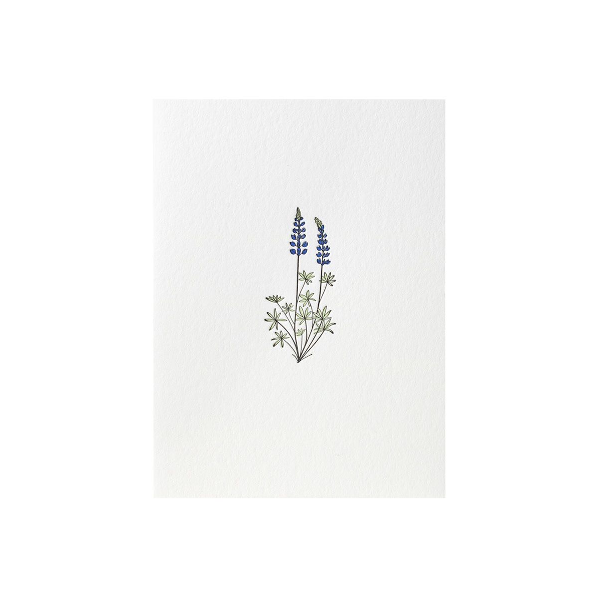 Lupine Wildflower Card