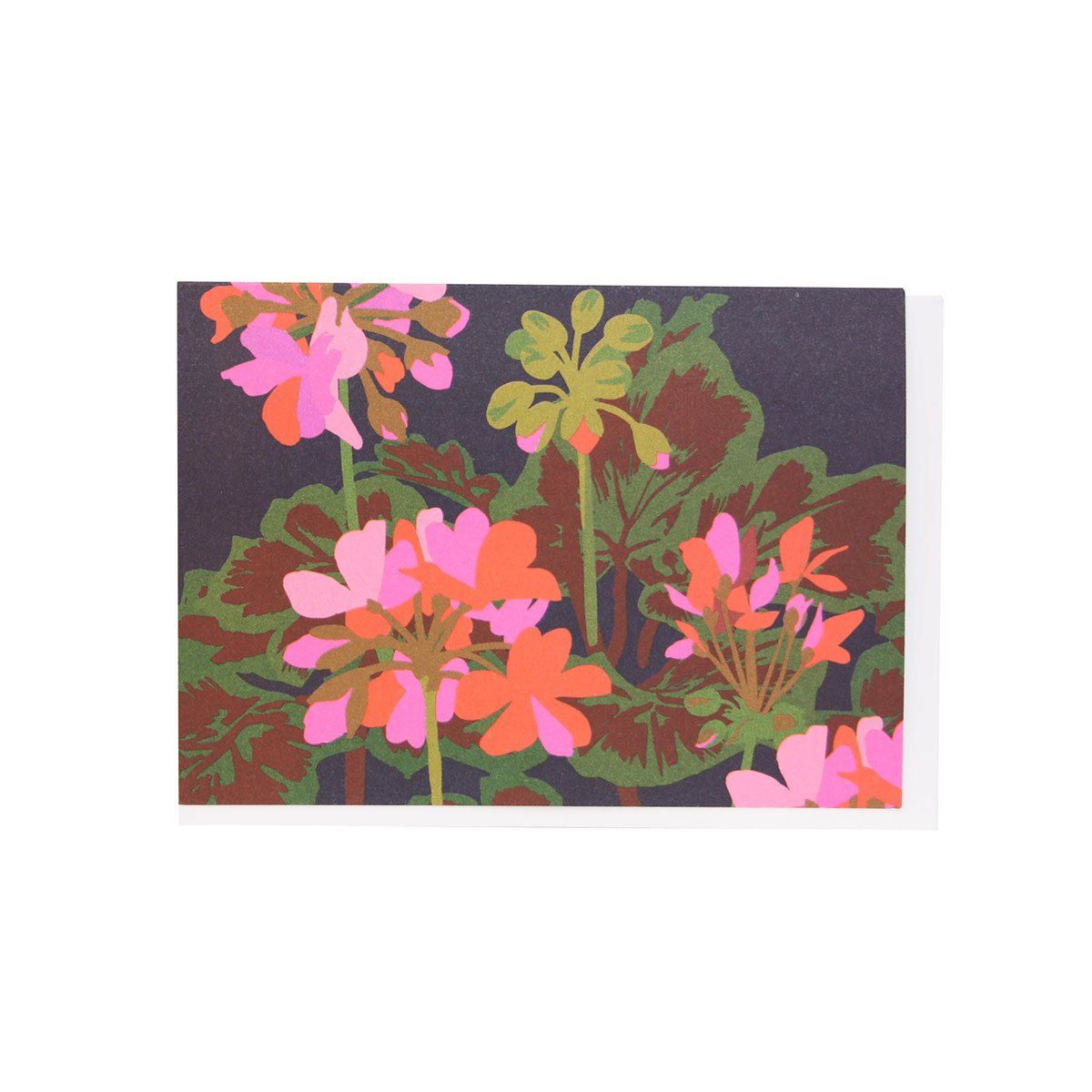 Geraniums Note Cards Box of 10