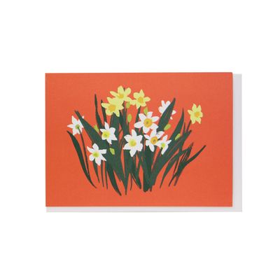 Paperwhites Note Cards Box of 10