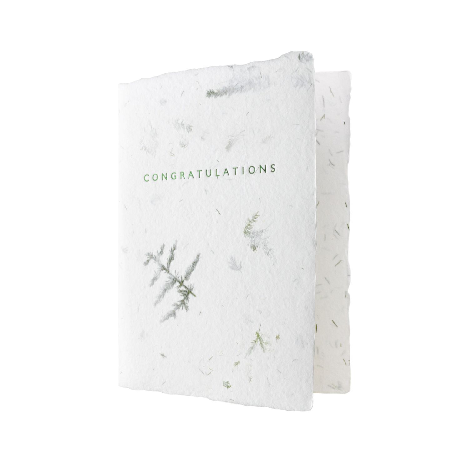 Congratulations Greeted Fern Letterpress Card