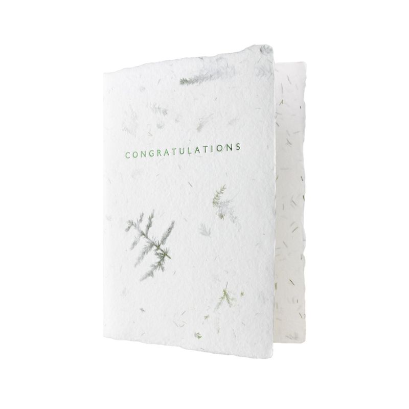 Congratulations Greeted Fern Letterpress Card