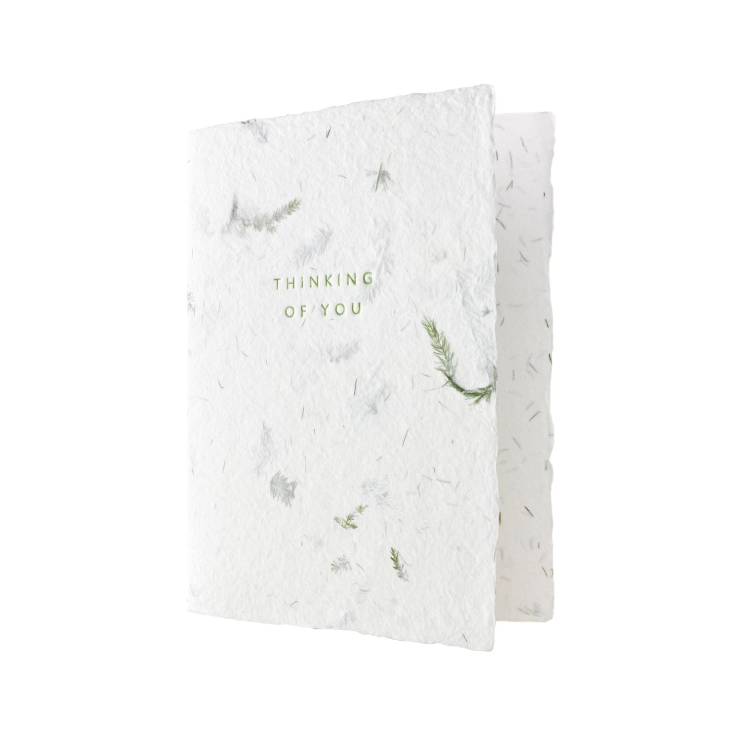 Thinking of You Greeted Fern Letterpress Card