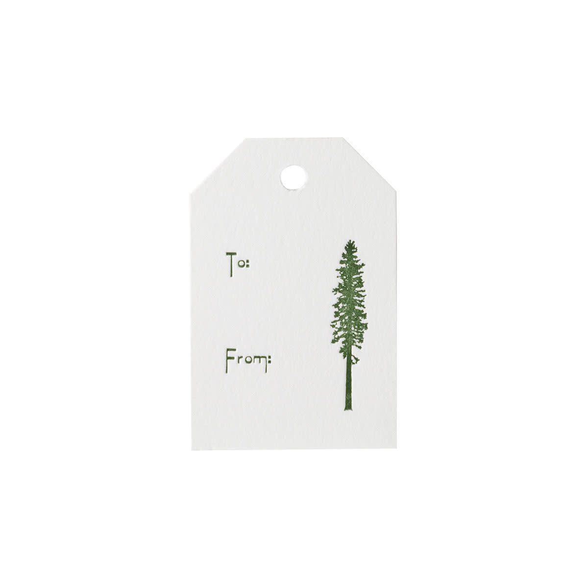 Conifer Letterpress Gift Tags - s/6