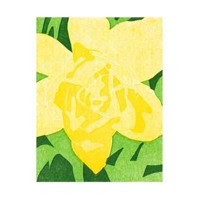 Daffodil Up Close Card