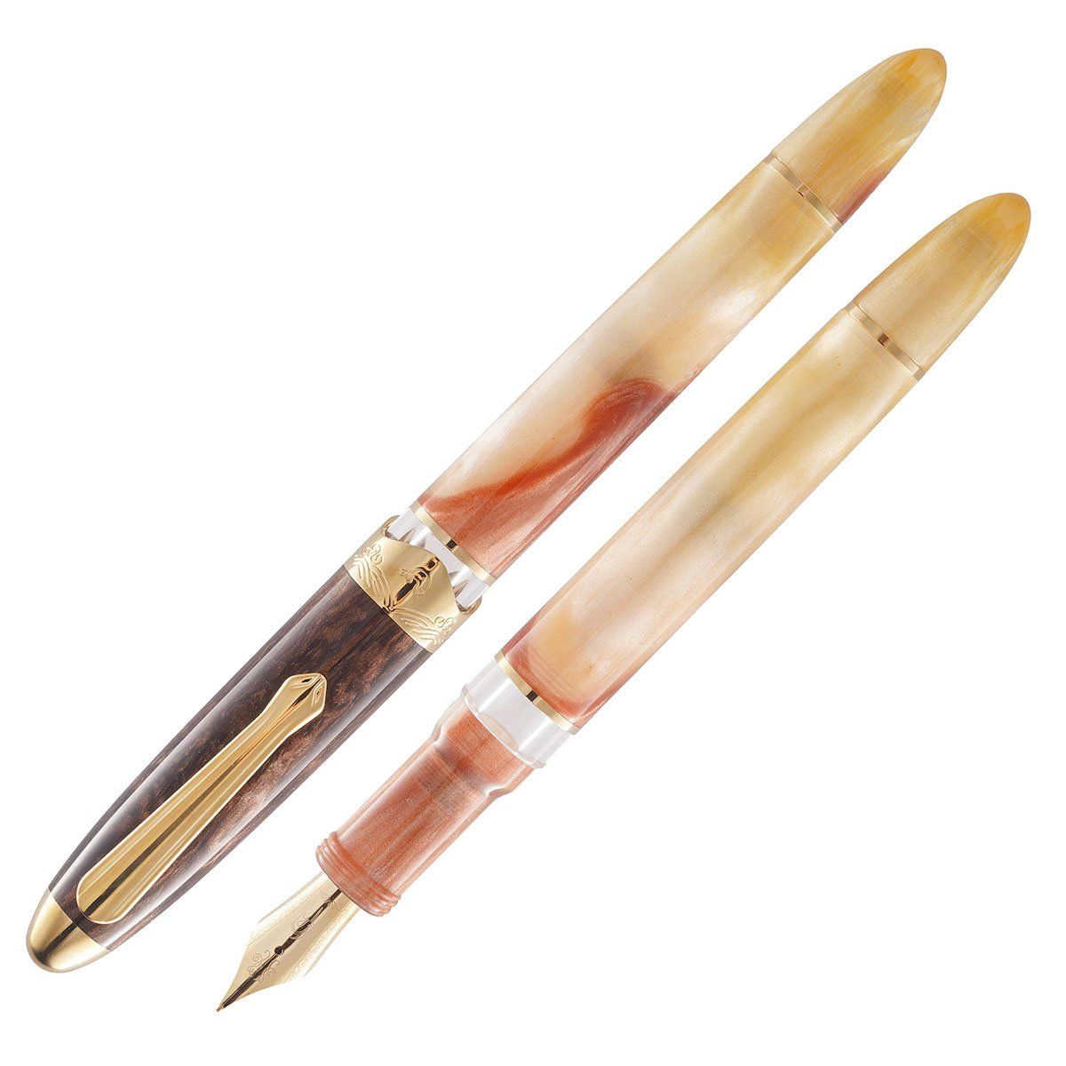 Nahvalur Horizon Desert Fountain Pen