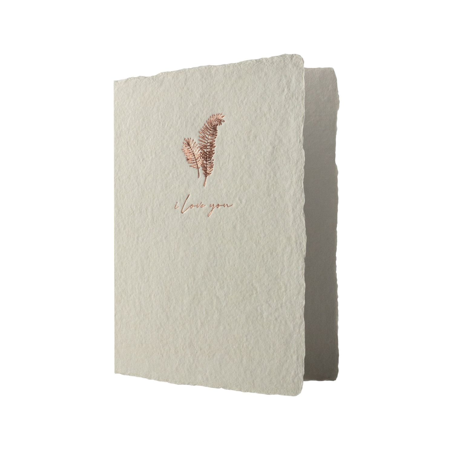 Ferns Love Prairie Rose Letterpress Card