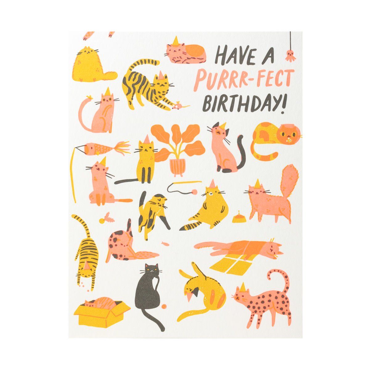 Purr-fect Birthday Letterpress Card