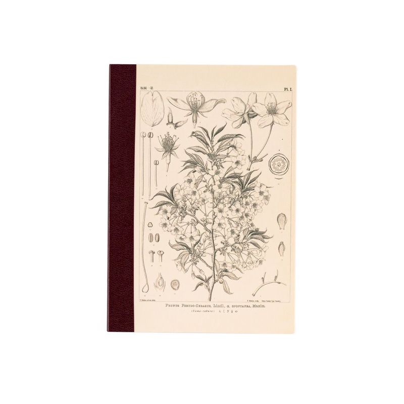 Hobonichi Graph Notebook Makino: Yamazakura A6