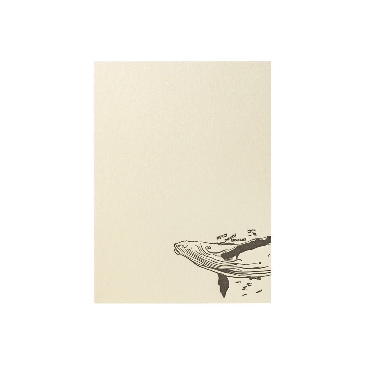 Whale Letterpress Notecard Set