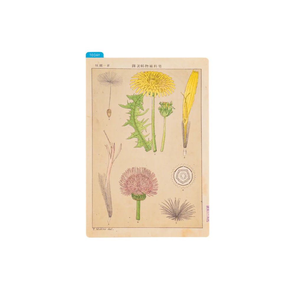Hobonichi Pencil Board A6 Tomitaro Makino