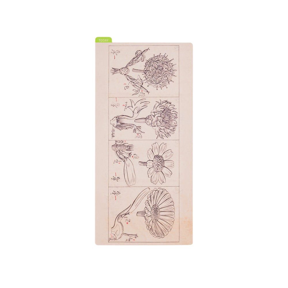 Hobonichi Pencil Board Weeks Tomitaro Makino