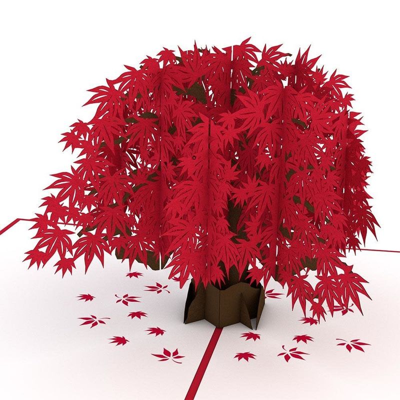 Japanese Maple Pop-Up Card