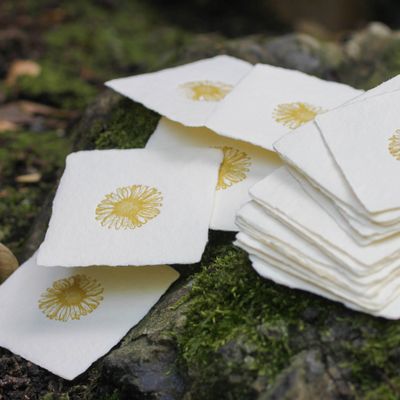 Daisy Petite Charm Letterpress Enclosure