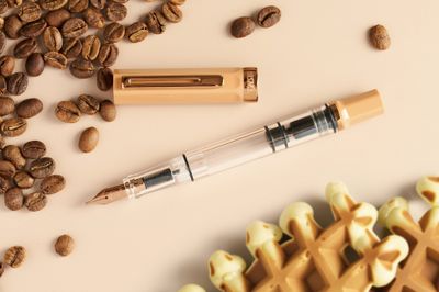 TWSBI Eco Caffé with Bronze Fountain Pen