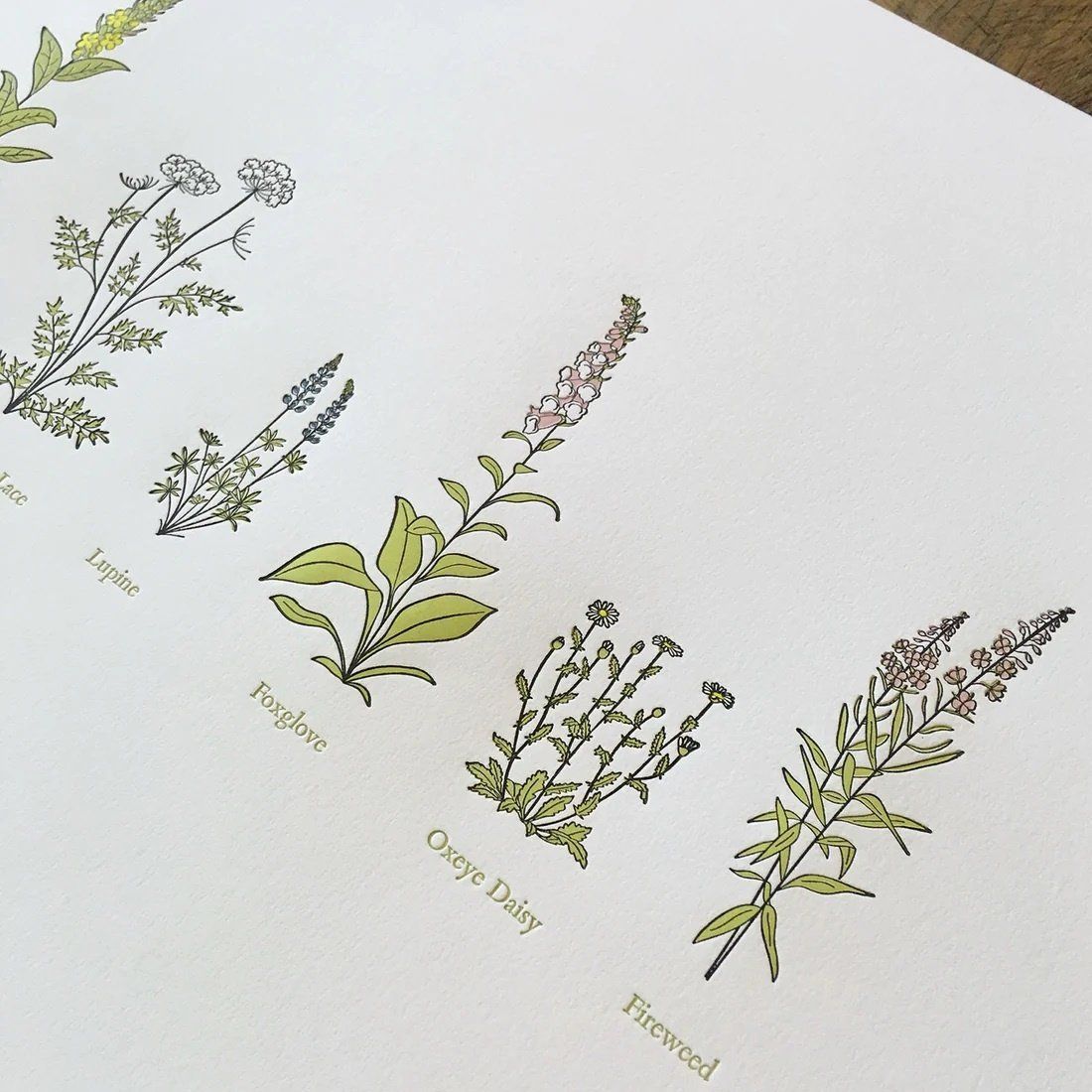 A Few Wildflowers LP Print