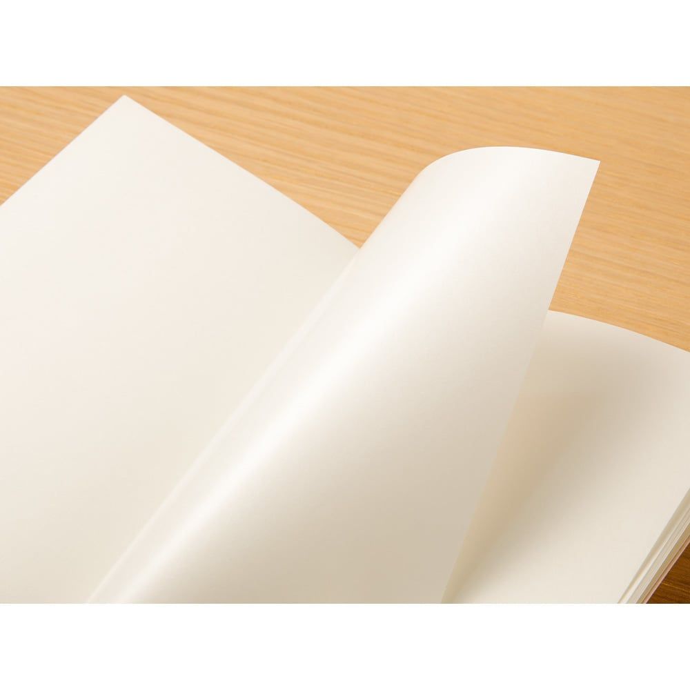 TRAVELER’S COMPANY – Refill 017 – Sticker Release Paper (Passport Size)