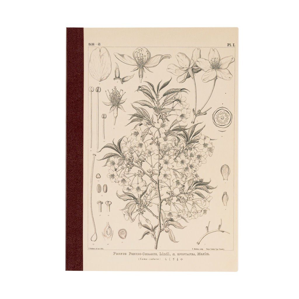Hobonichi Graph Notebook Makino: Yamazakura A5