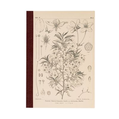 Hobonichi A5 Graph Notebook - Makino: Yamazakura