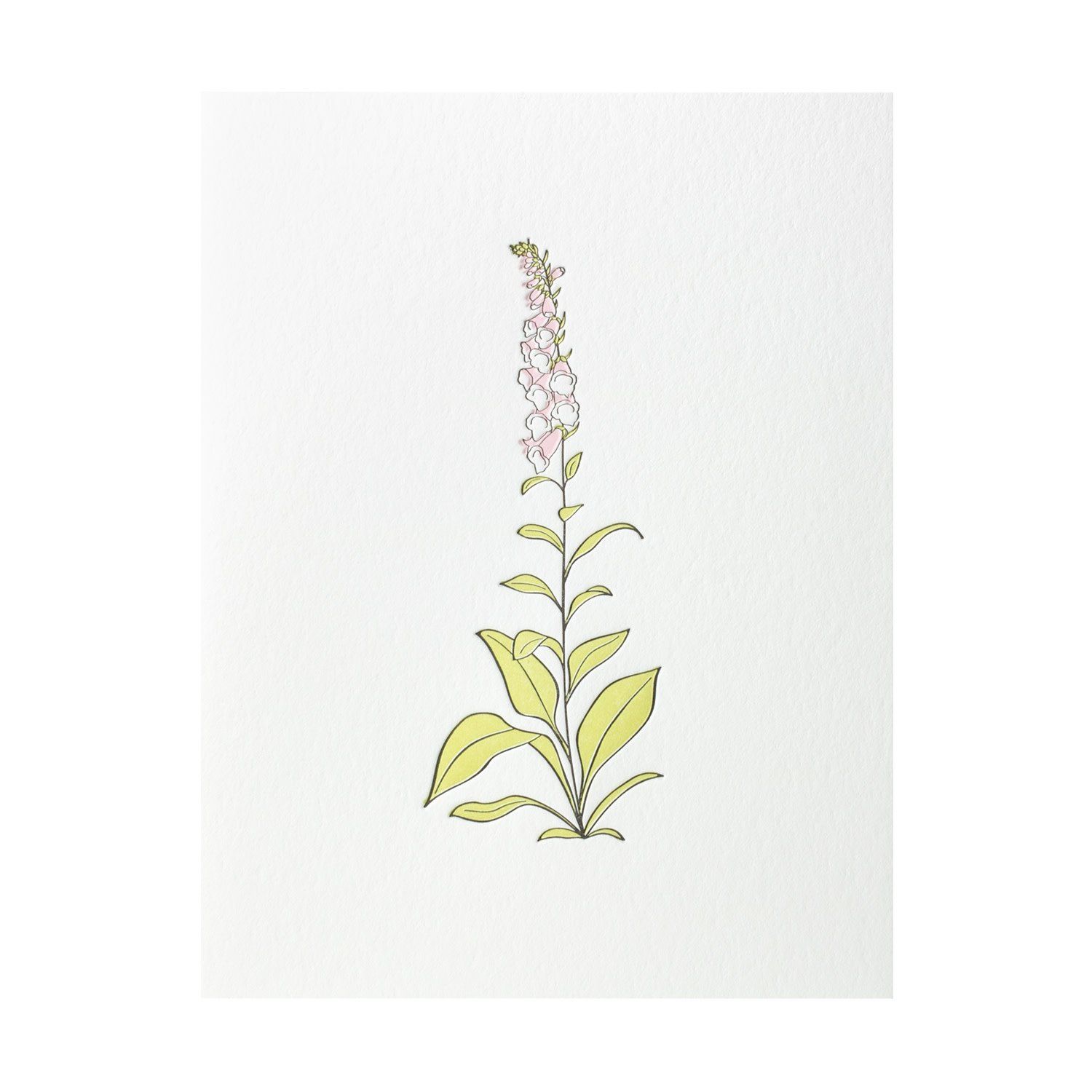 Foxglove Wildflower Letterpress Card