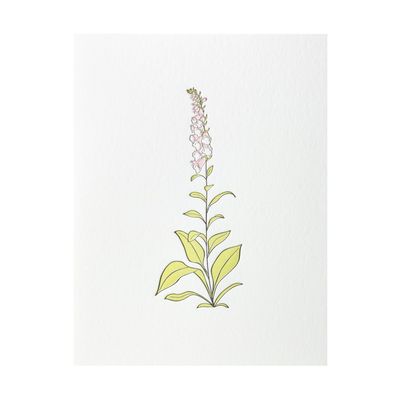 Foxglove Wildflower Letterpress Card