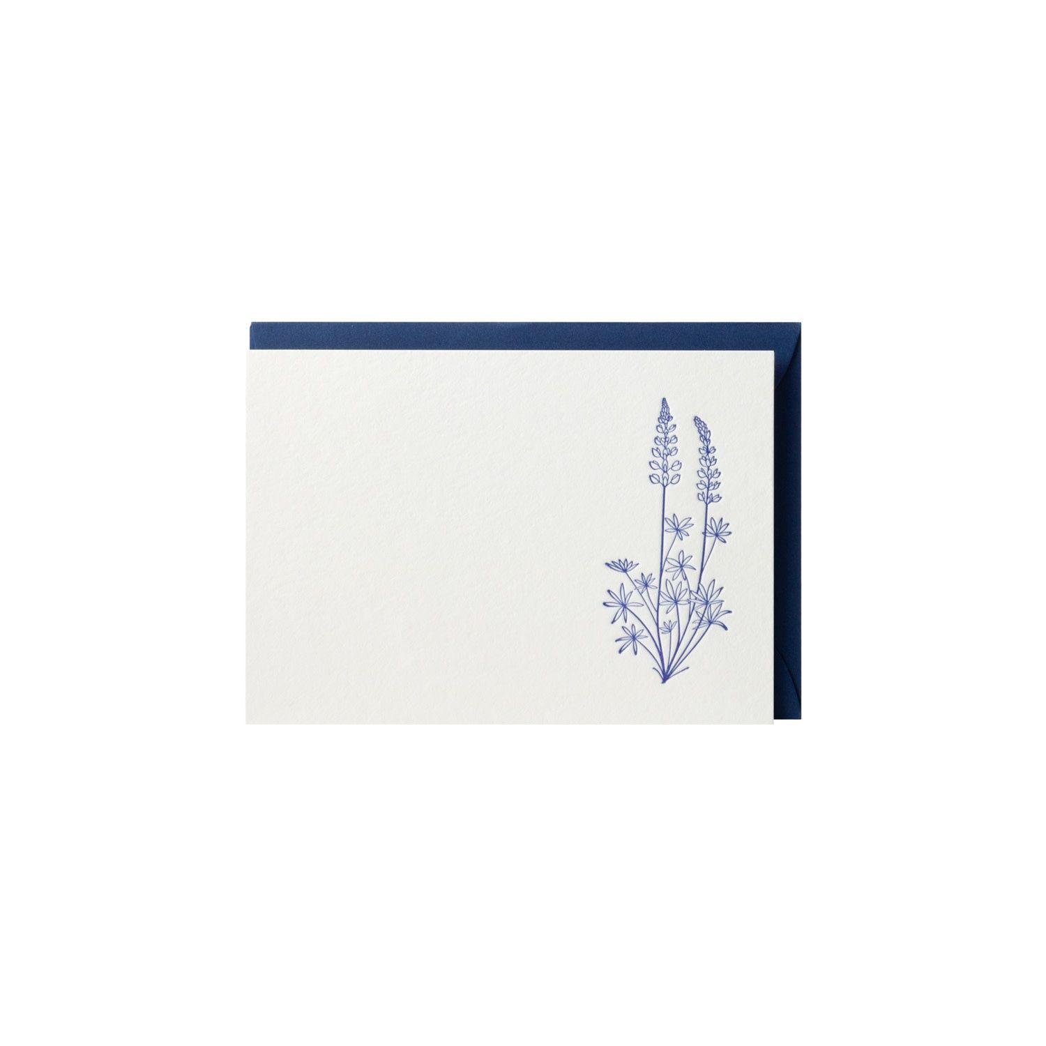 Lupine Letterpress Gift Enclosure