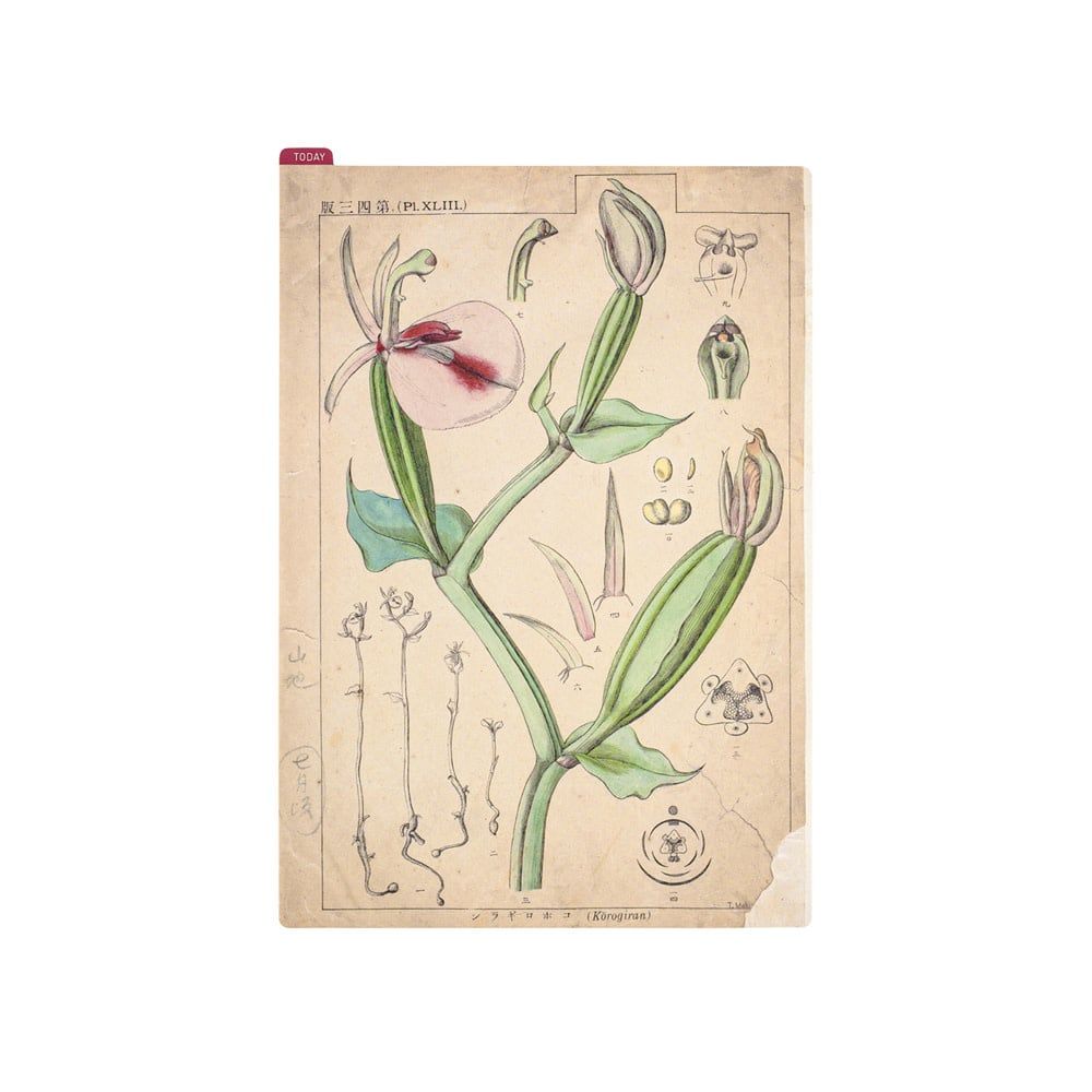 Hobonichi Pencil Board A5 Tomitaro Makino