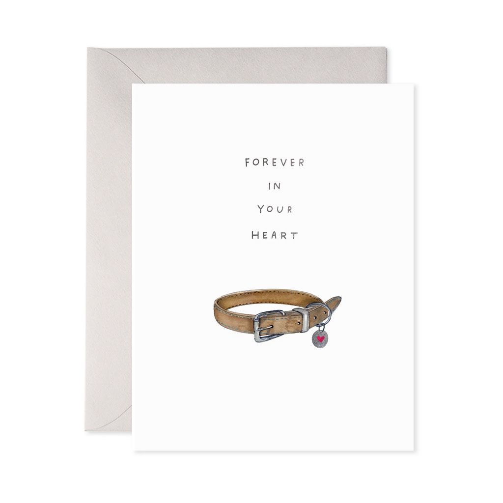 Pet Collar Sympathy Card