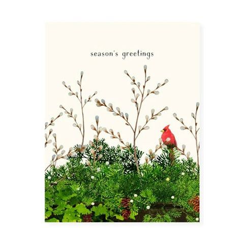 Cardinal and Evergreen Boxed s/8