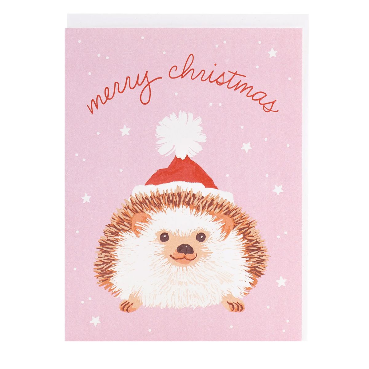 Hedgehog in Santa Hat Card