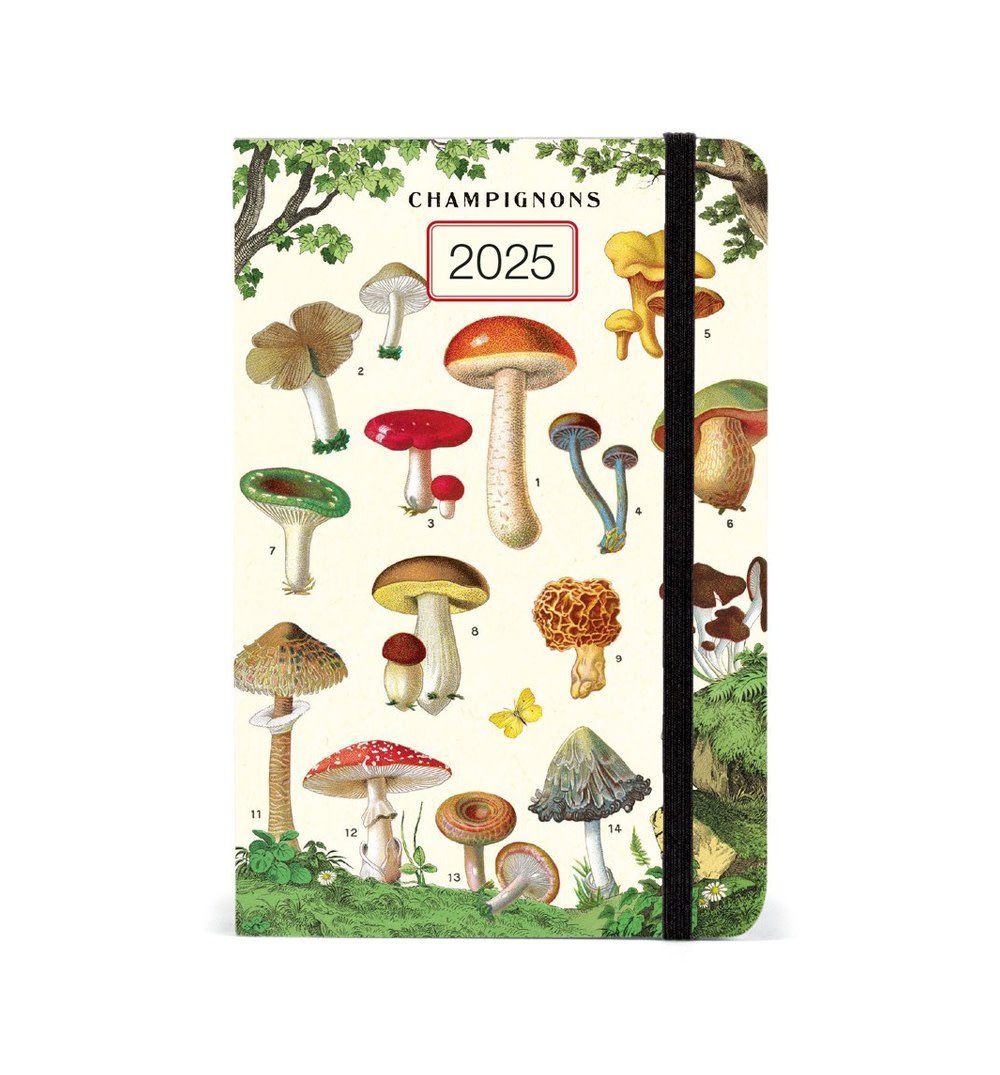 Mushrooms Weekly Planner 2025